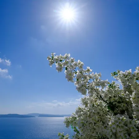 Thirea Lejlighed Oia